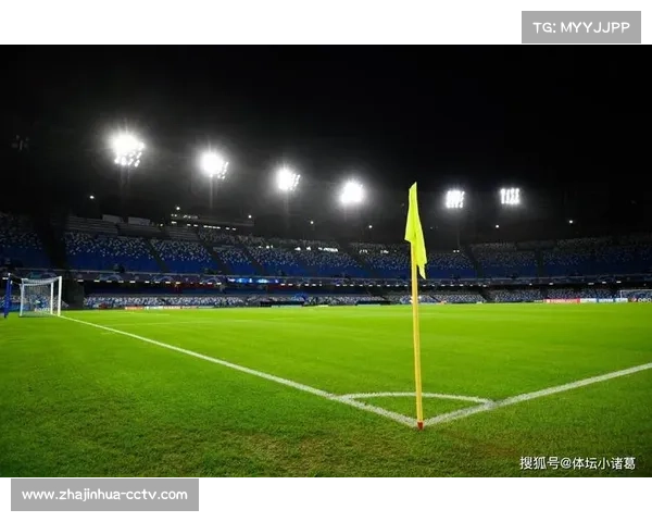 那不勒斯球场采用BIM技术进行3D激光扫描建模，确保观赛视野标准